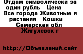 Отдам символически за один рубль › Цена ­ 1 - Все города Животные и растения » Кошки   . Самарская обл.,Жигулевск г.